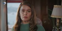Rezumat episodul 16 „Fata de la fereastră”, difuzat în 28 octombrie la Kanal D: Feride îi ajută pe Cana și pe Alp să se împace